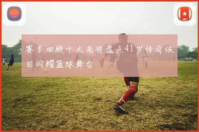 赛季回顾十大老将盘点41岁传奇依旧闪耀篮球舞台